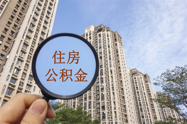 断交社保补缴流程及材料-鄂尔多斯公积金代办平台
